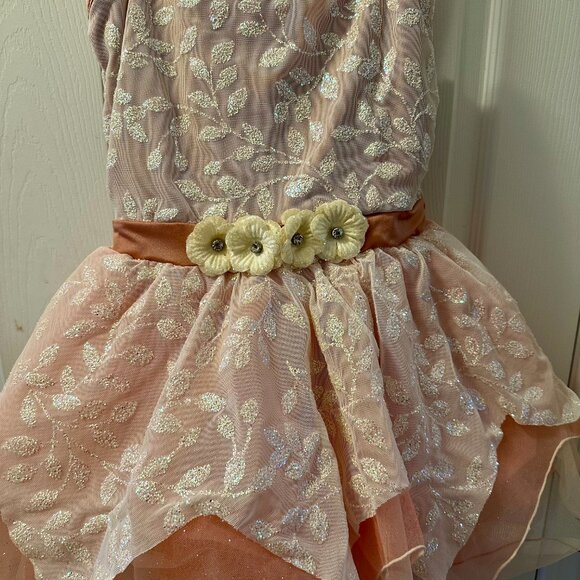 Rose Petal Pink Tutu Ballet Dress - Picture 3 of 6